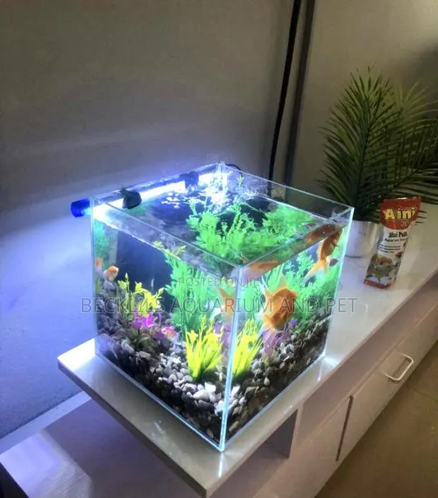 Miss Cute Table Top Aquarium · Photo 1
