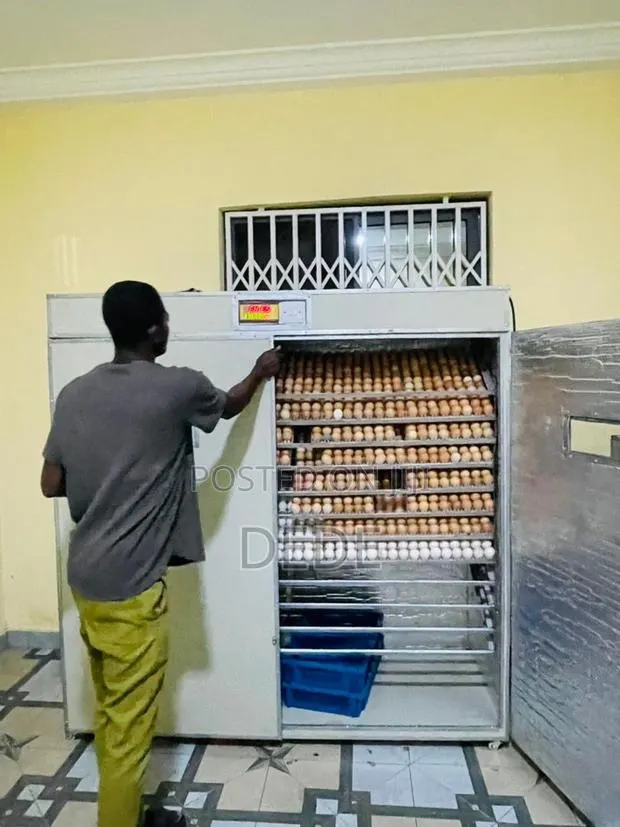 2112 Capacity Egg Incubator · Photo 1