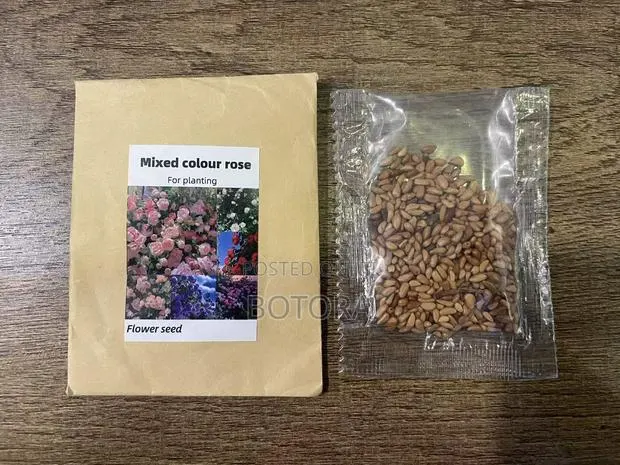 Climbing Rose Seeds for Planting – Beautiful Flowering Vine for Walls · Photo 2