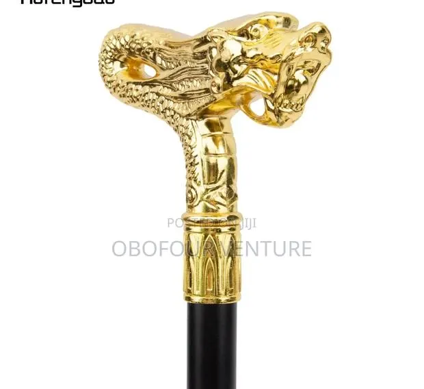 Man Luxury Walking Stick · Photo 1