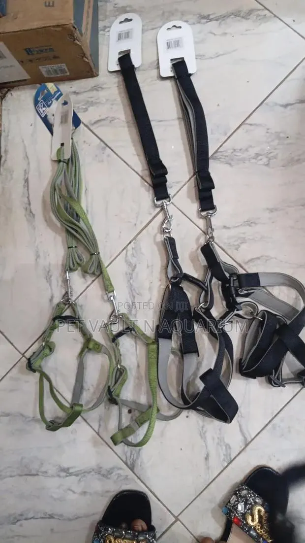Harness With Leash for Dogs(L) · Photo 1