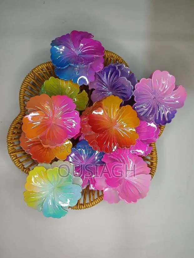 Hair Clips · Photo 1