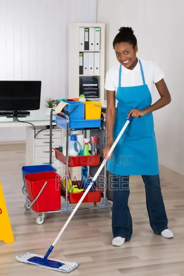 House and Office Cleaning and Fixing of Curtains · Photo 1