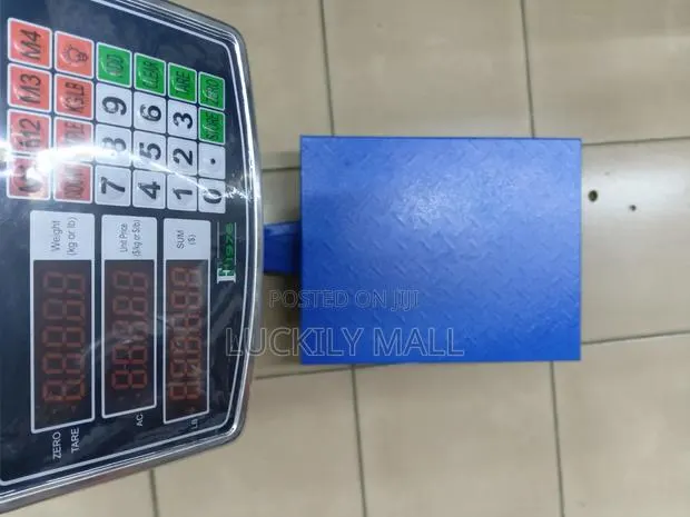 Platform Scale 300KG · Photo 1