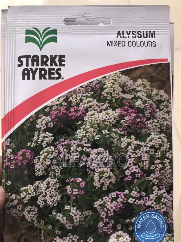 Sweet Scented Flower Seeds(3 in 1) · Photo 3
