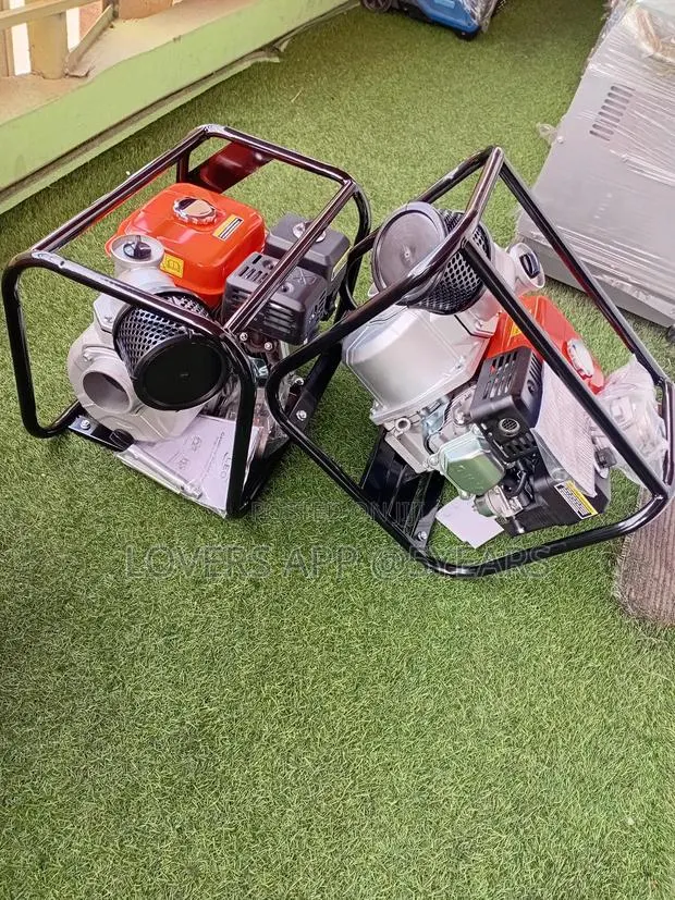 Powerful Water Pump 6.5hp · Photo 1