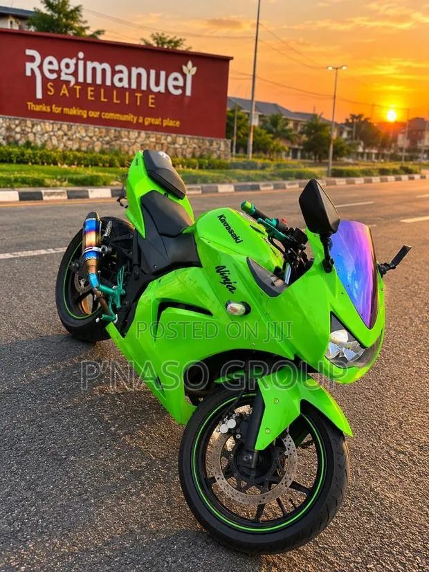 Kawasaki Ninja 300 2013 Green · Photo 1