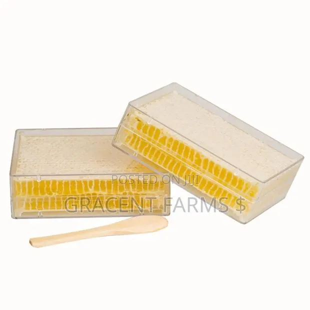 Vitex Flower Fresh Whole Honeycomb Honey - (500g) · Photo 1