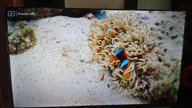 Living Wealth Television 43inches TCL Smart Televisions · Photo 1