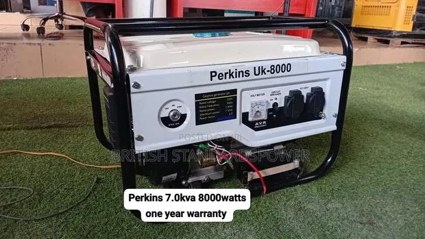 Perkins 8000w Generator – Efficient, Quiet Dependable · Photo 1