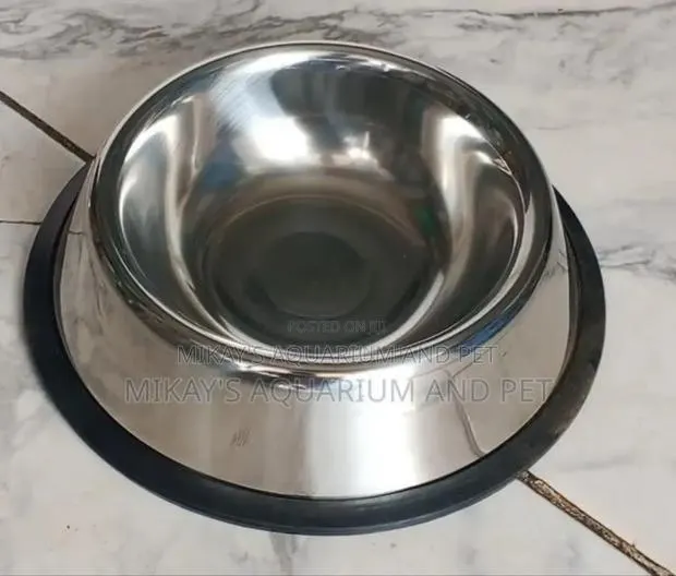 Small Dog Bowl · Photo 1