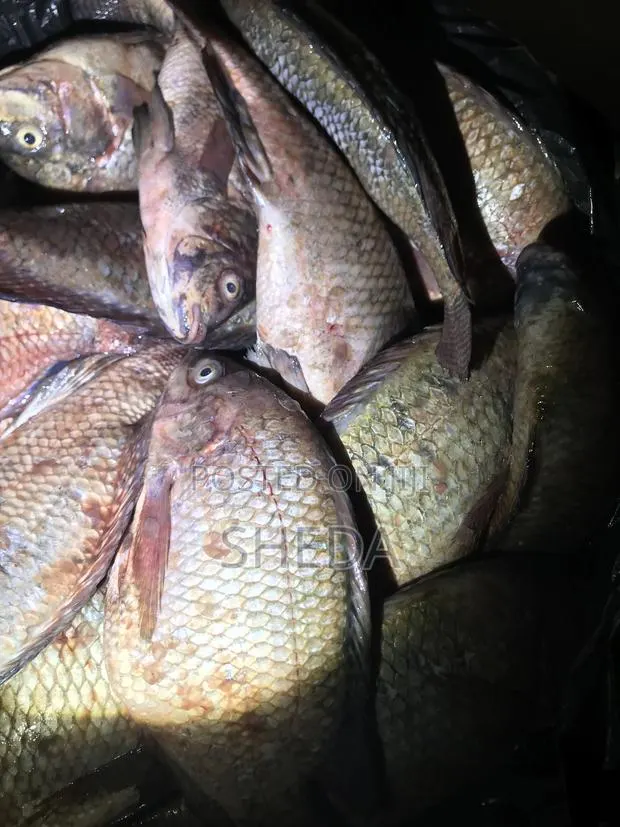 Mama Joy Fresh Tilapia · Photo 1