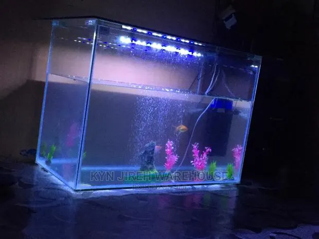 Point and Kill Tank 3ft X 2ft X17” · Photo 1