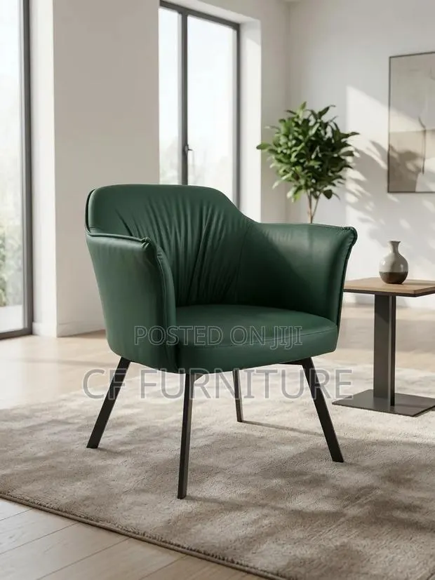Modern Accent/Balcony Chair · Photo 1