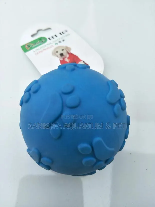 Dog Ball Play Toy · Photo 1