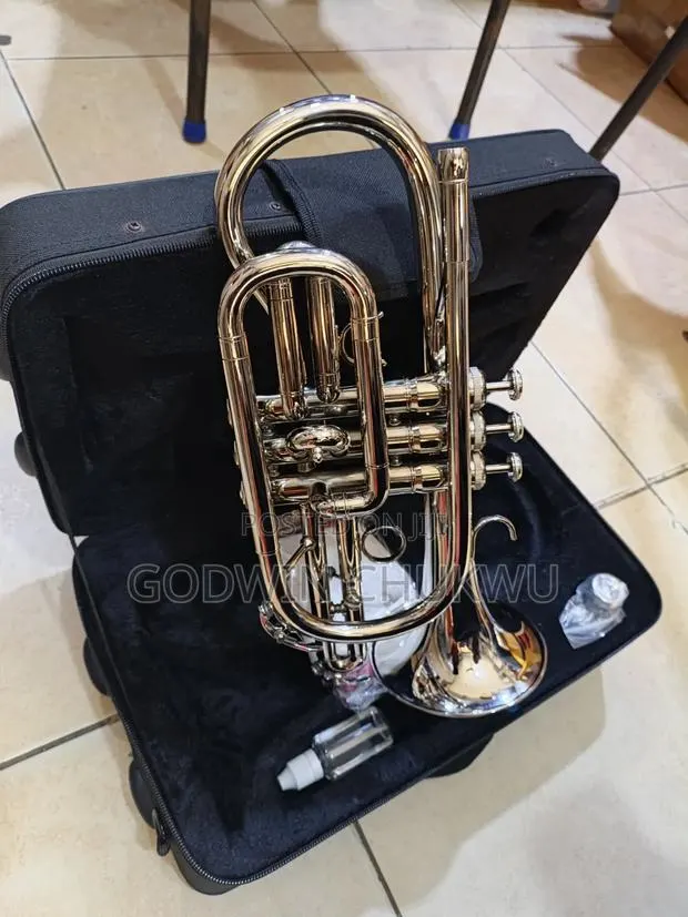 Silver-Plated Cornet With Hard Case Accessories . Ready to Play · Photo 1