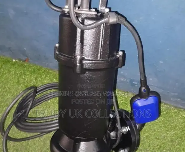 Leo Submersible Sewage Pumps 1.5hp Quality · Photo 1