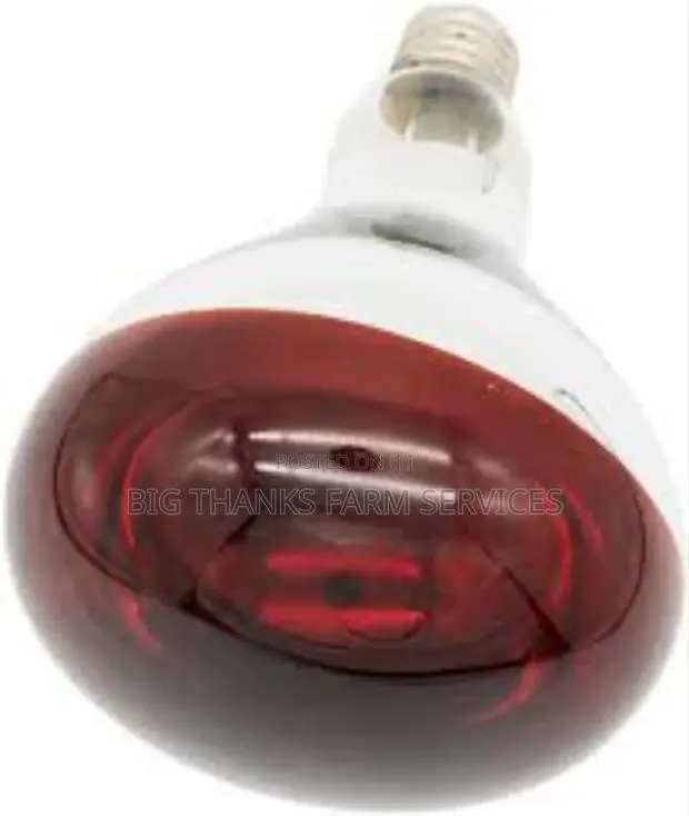 Poultry Heater Bulbs · Photo 1