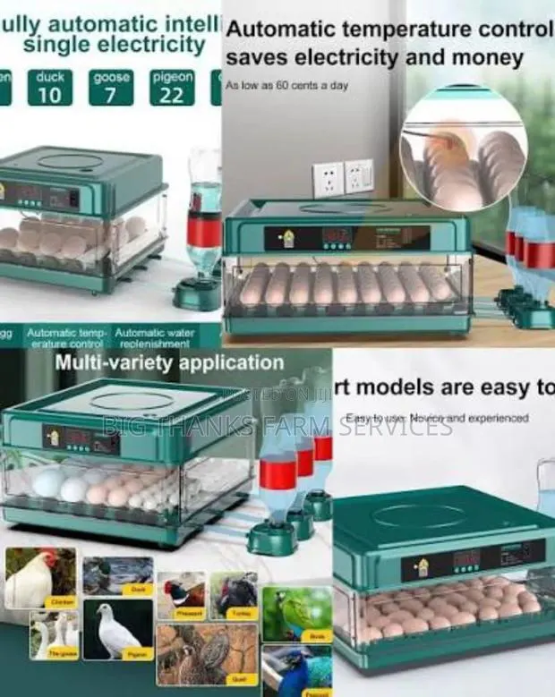 48 Capacity Incubator · Photo 1