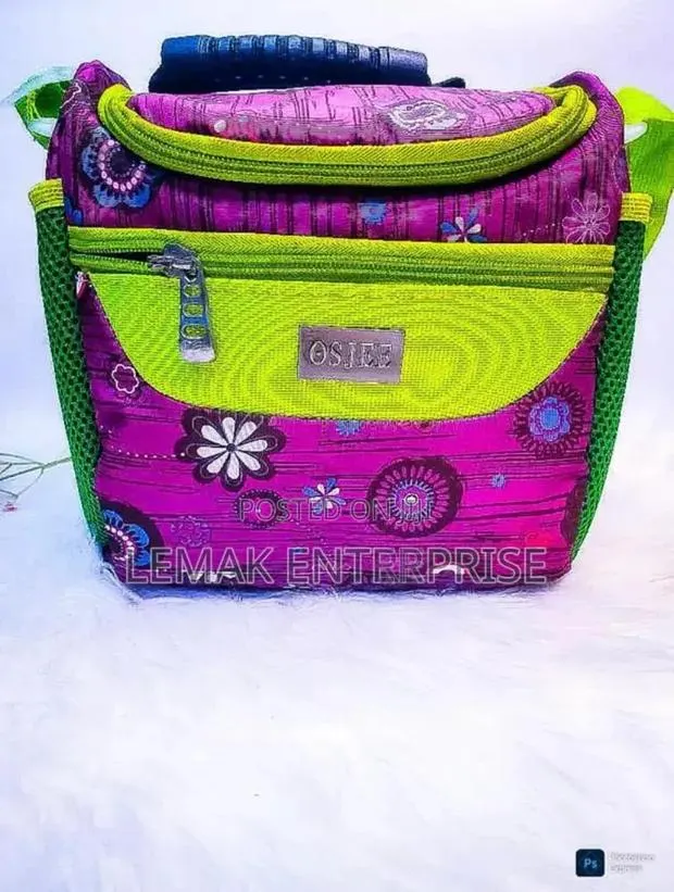 Lunch Bag (Lnsulated ) · Photo 1