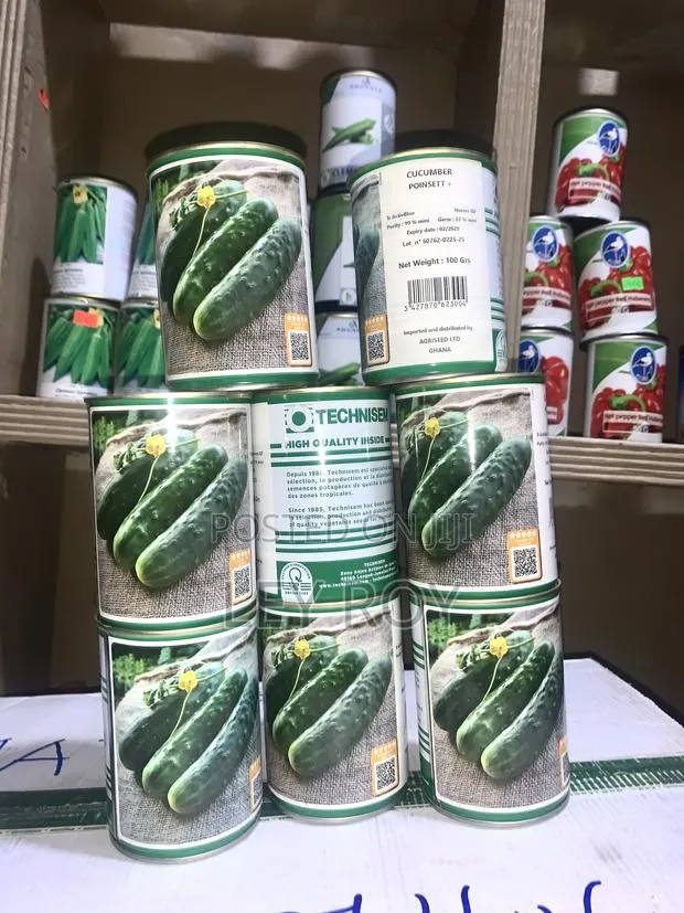 Cucumber (Poinsett) · Photo 1