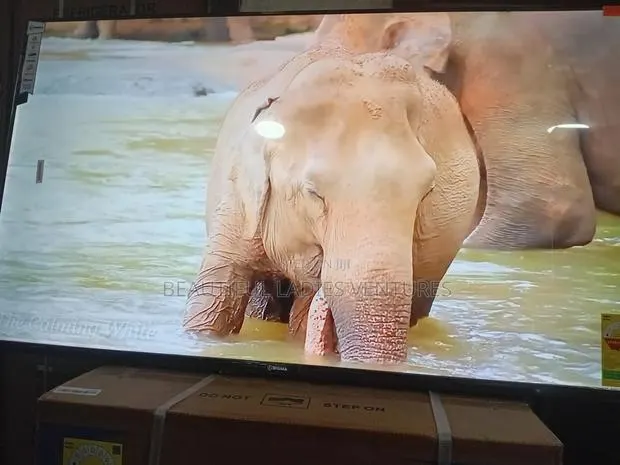 Sigma 55” Led Tv – Sharp Images, Rich Sound · Photo 1