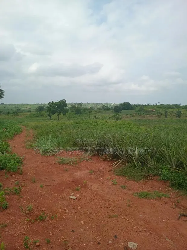 Alpha Estate Land for Sale Kweikrom · Photo 8