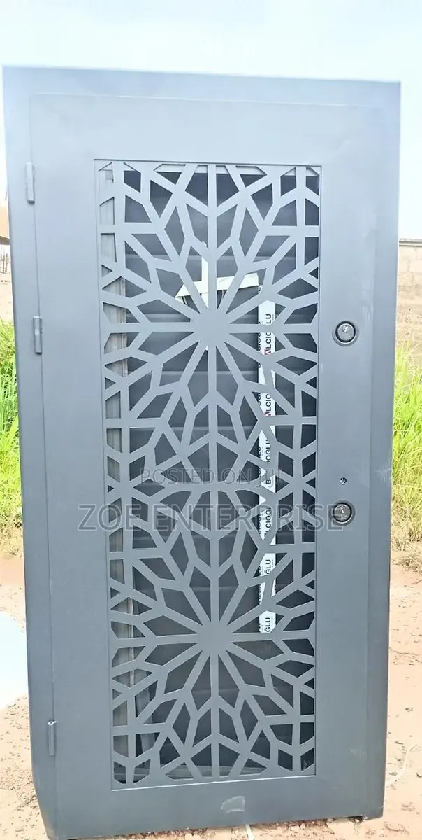 Full Metal Door in Doors Main Entrance · Photo 1