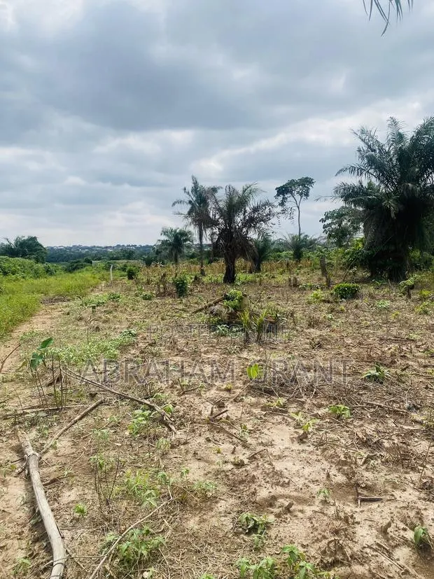 Plot of Land for Sale · Photo 1