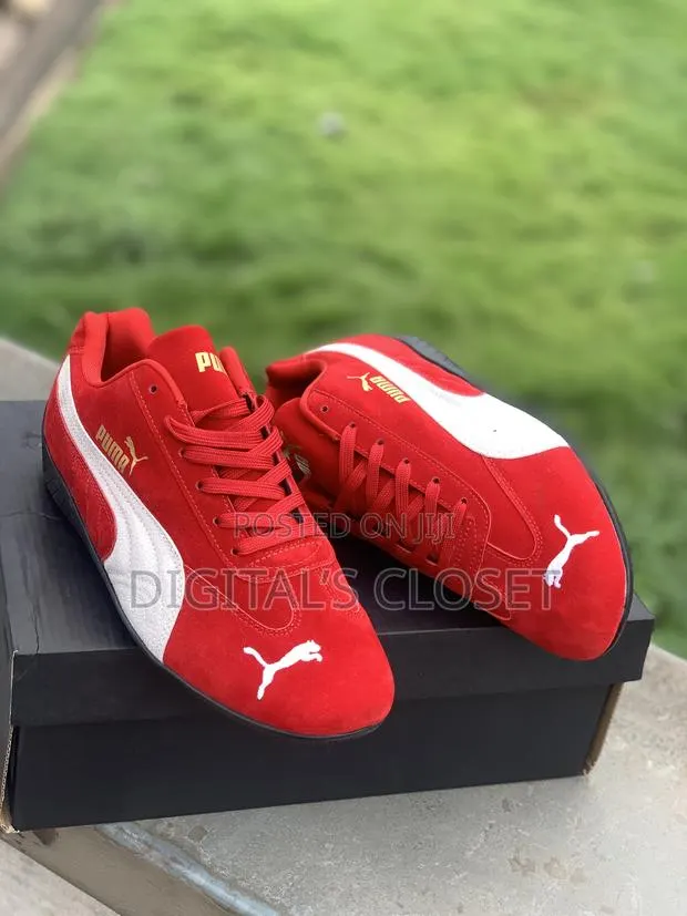 Original Puma Cat · Photo 1