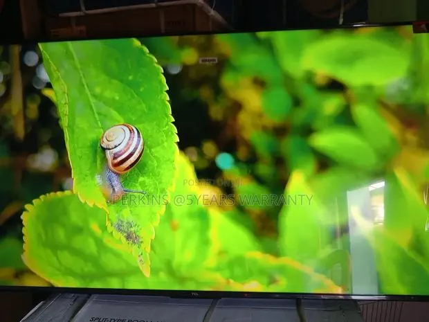 Access a World of Entertainment at Your Fingertips With TCL 55 Qled Tv · Photo 1