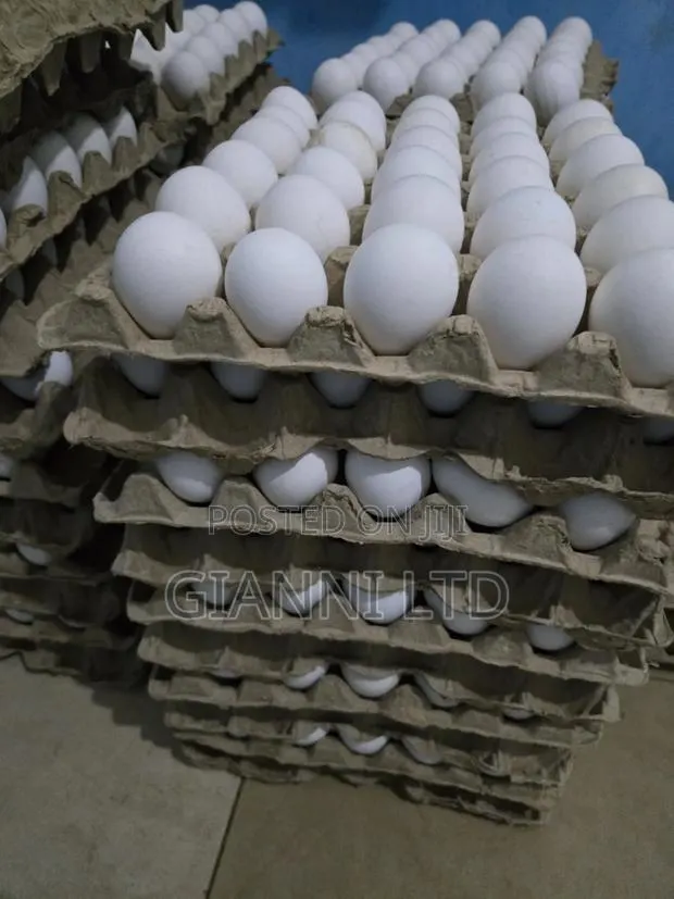 Fresh Farm Eggs for Sale. Available for Both Wholesale and Retail · Photo 1