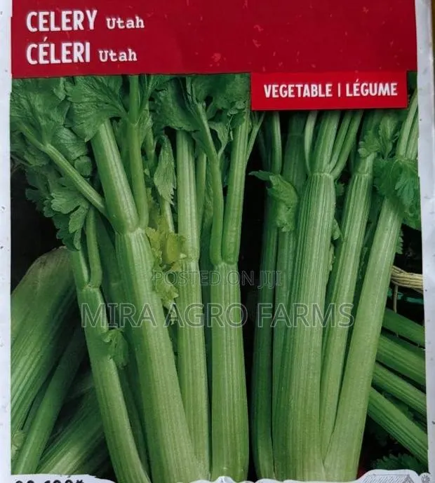 Fruits, Herbs and Spices Seedlings · Photo 4