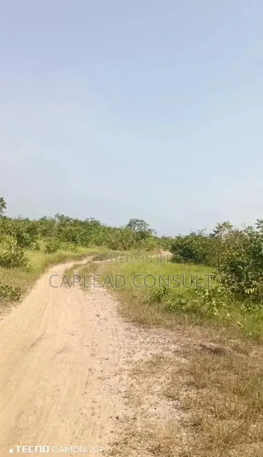 Farmland for Sale · Photo 1
