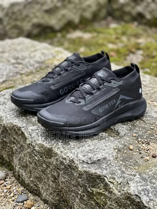 Original Nike Pegasus Trail 5 Goretex All Black · Photo 1