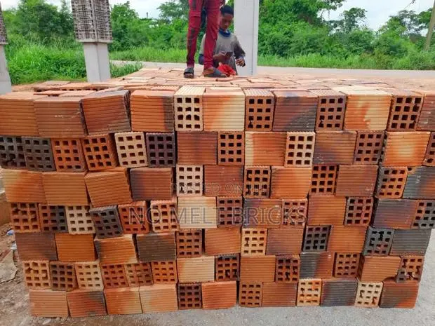 12 Holes Big Clay Burnt Bricks · Photo 1