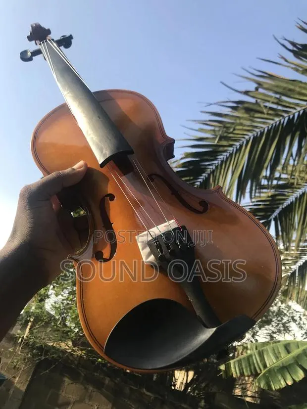 Violin 4/4 · Photo 1