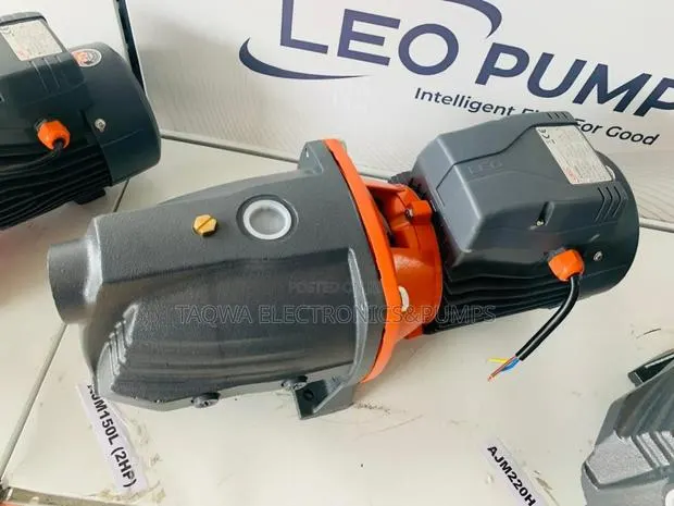 2.0hp Leo Cast Pump · Photo 1