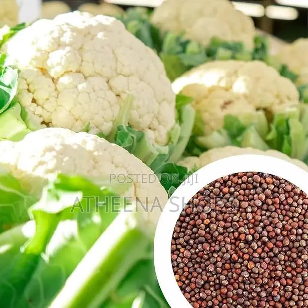 Organic Cauliflower Seeds · Photo 2