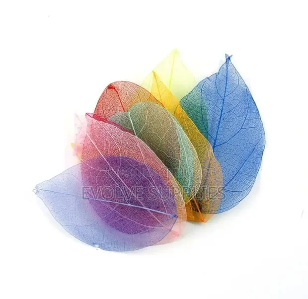 Skeleton Leaves for Garnishing Drinks · Photo 1