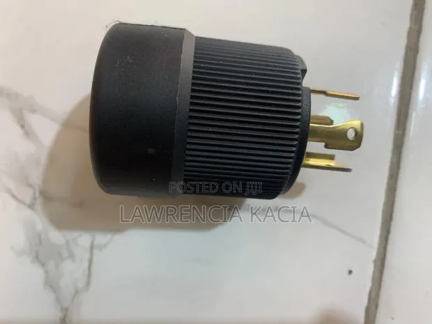 American Plug · Photo 1