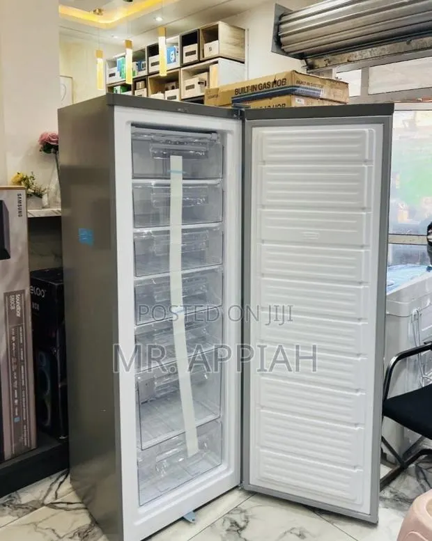 Premium Nasco Single Door Upright Standing Freezer(Nasd1-33)Silver · Photo 1