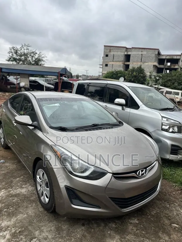 Hyundai Elantra 2016 Brown · Photo 1