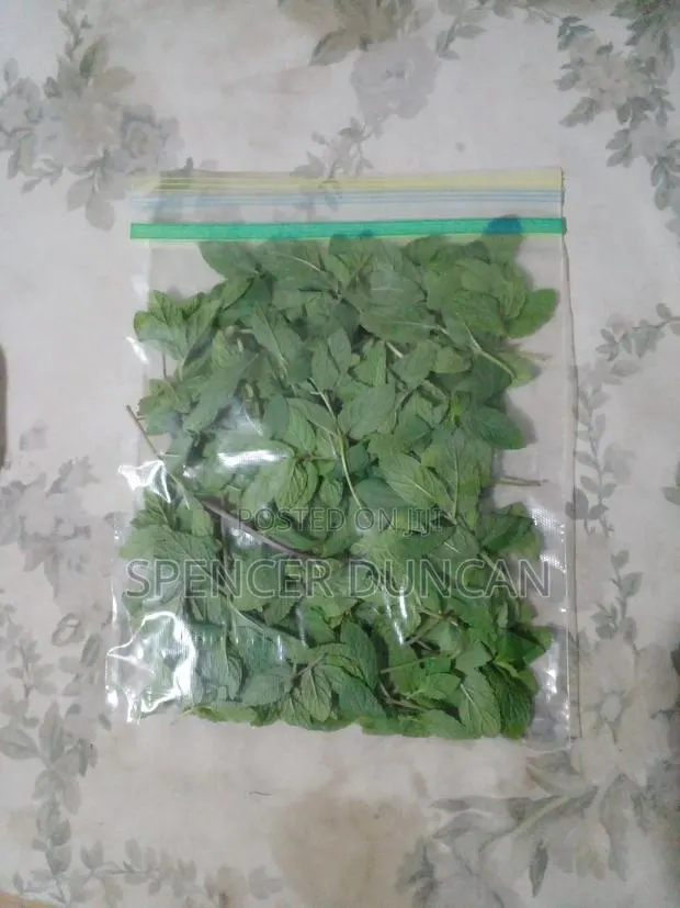Natural Organic Spearmint Leaves and Seedlings Exotic Breed · Photo 1