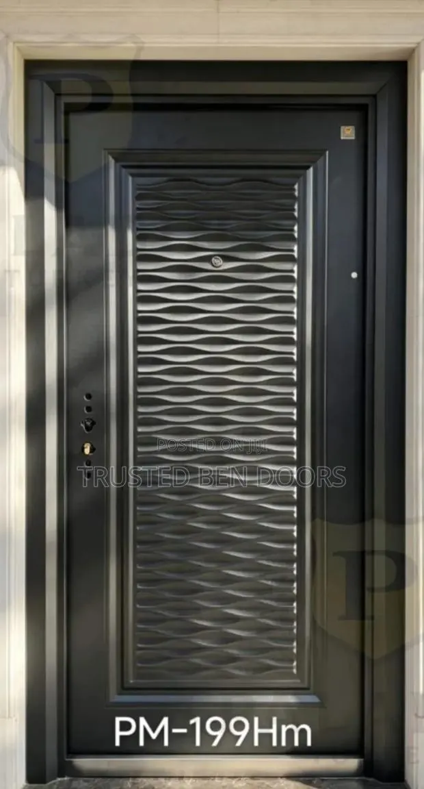 Latest Paladin Turkish Black Security Single Door With Accessories · Photo 1