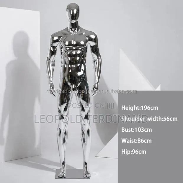 Muscle Silver Mannequin · Photo 1