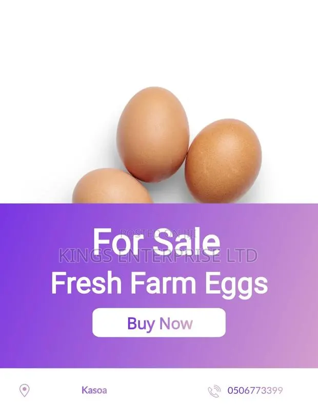 Eggs - Fresh, High Quality · Photo 1