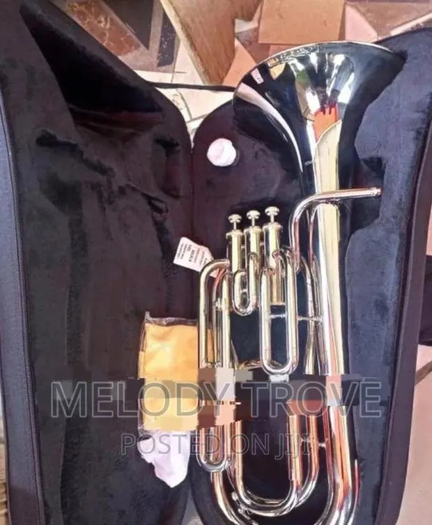 Baritone/Piston Valve Style Silver · Photo 1