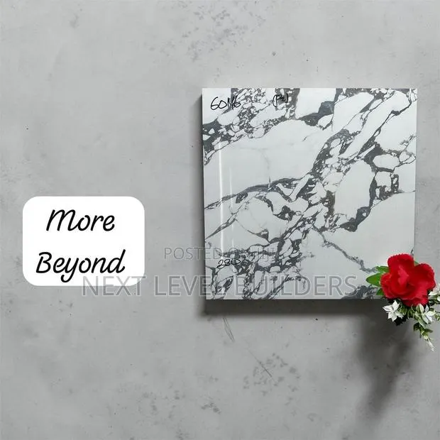 “Next Level Premium 60 by 60 Floor and Wall Tiles for Sale.” · Photo 1