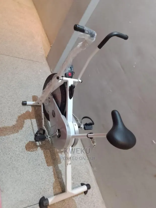 Professional Elliptical Bike